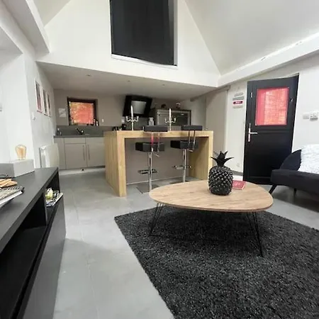 Apartment Jolie Petite Maison A 10 Minutes Du Vieux Lille